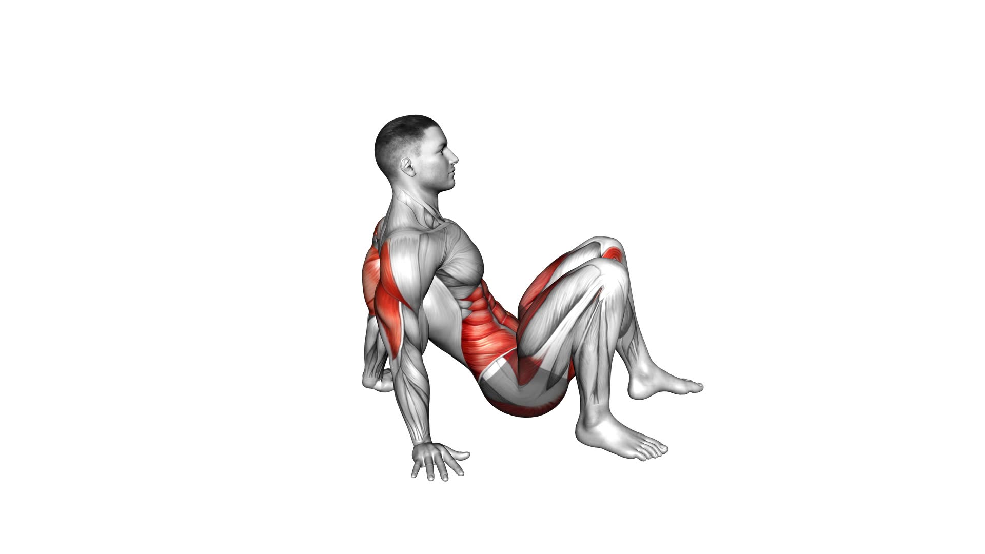 Crab Walk (VERSION 2) (male) - Video Exercise Guide & Tips