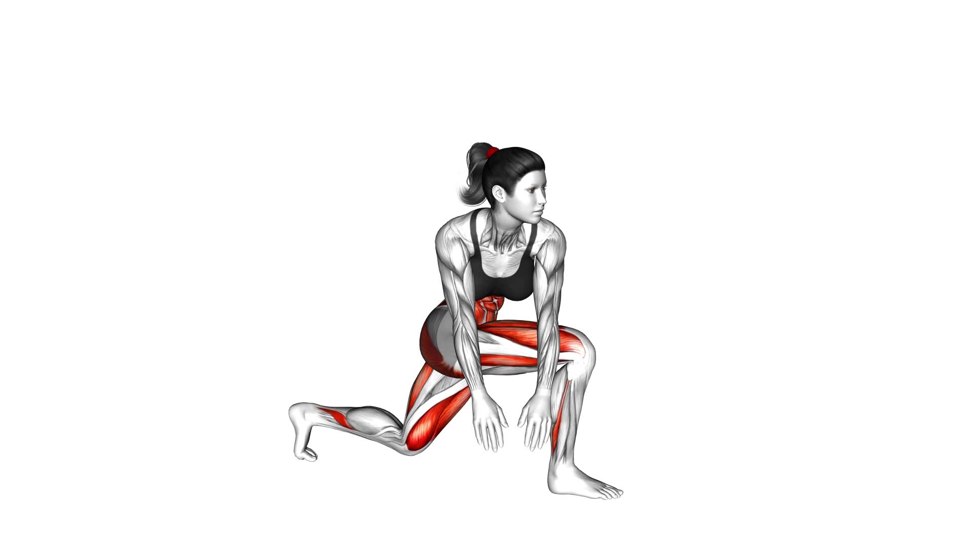 Crossover Kneeling Hip Flexor Stretch (female) - Video Exercise Guide & Tips