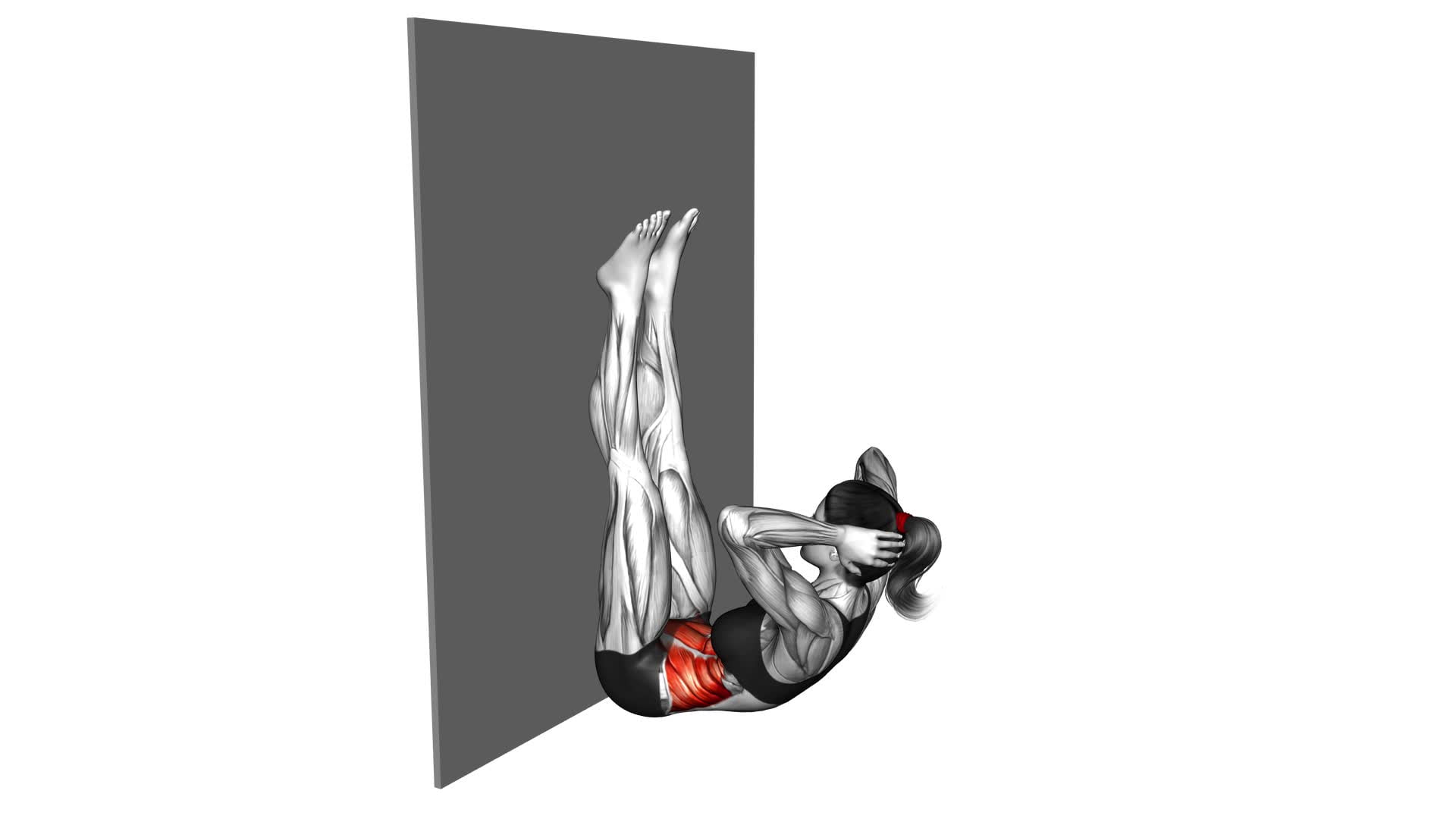 Crunch Against Wall (Female) - Video Exercise Guide & Tips