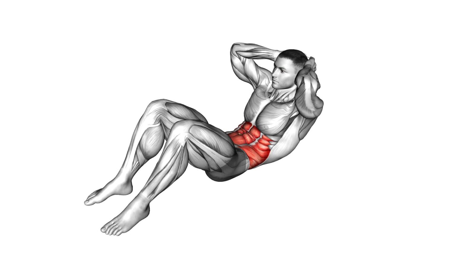 Crunch Floor (male) Ultimate Exercise Guide & Tips