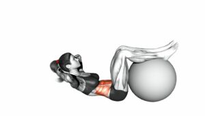 Crunch (Legs on Stability Ball) - Video Exercise Guide & Tips