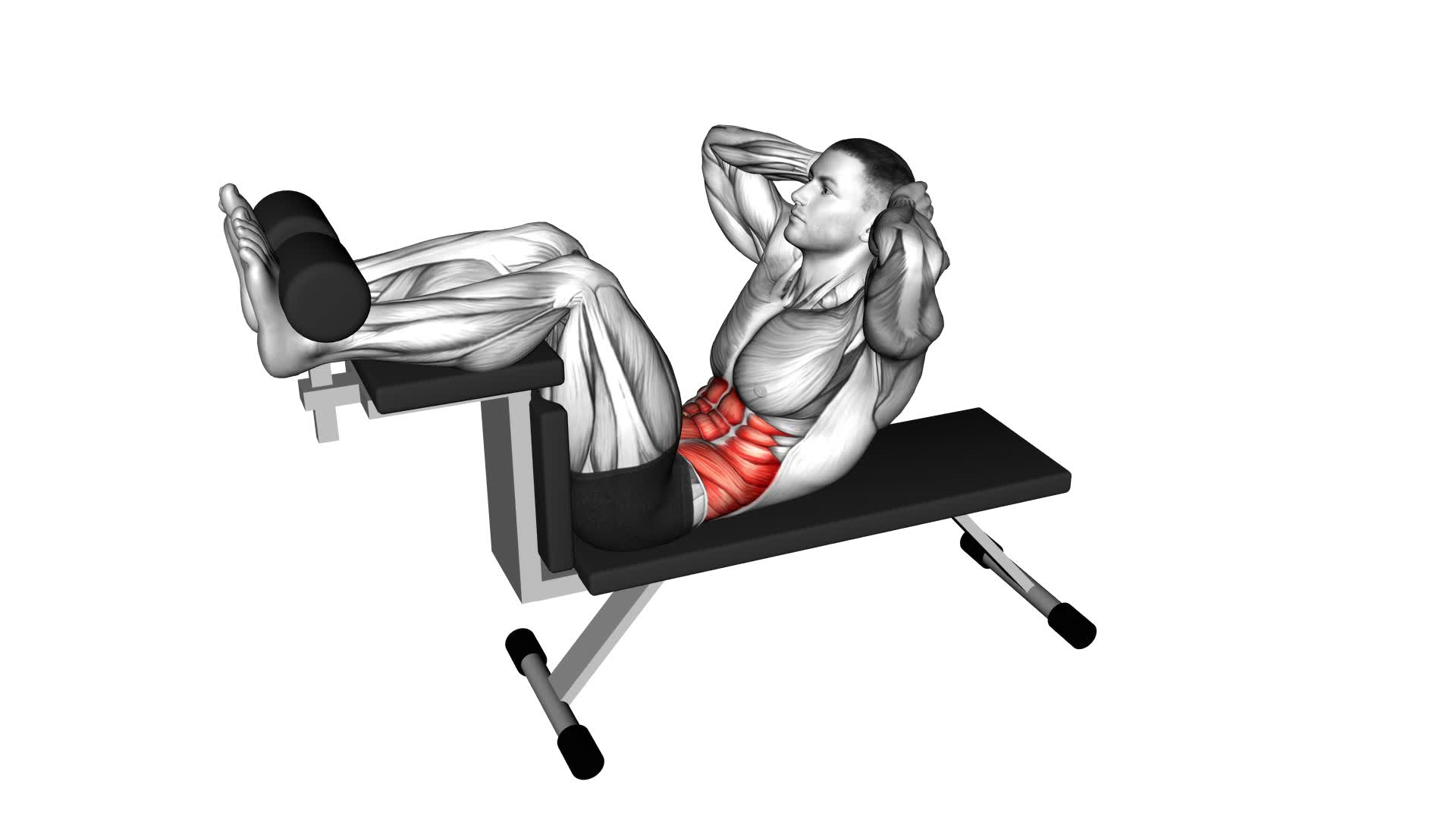 Crunch (On Bench) (Male) - Video Exercise Guide & Tips