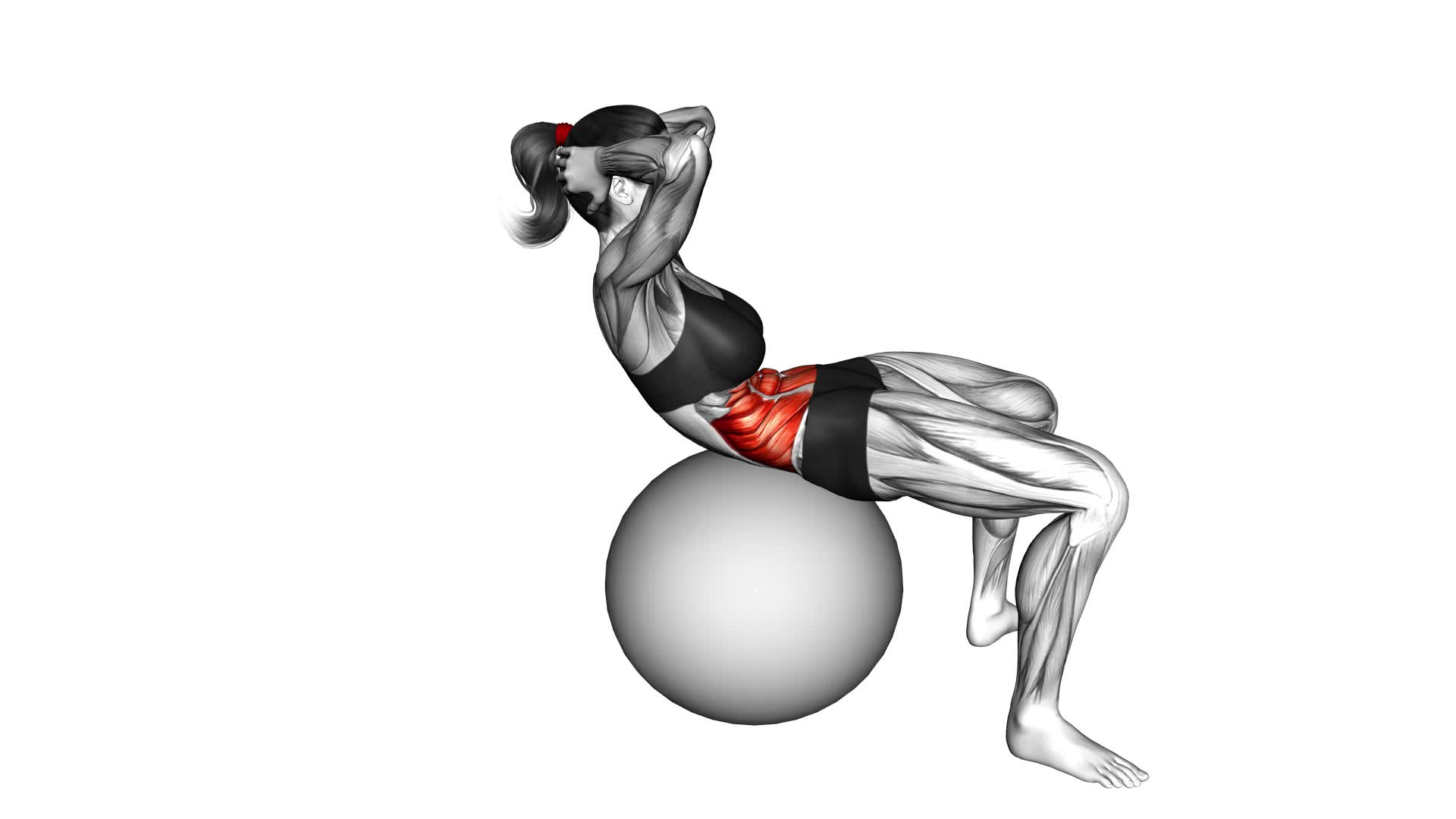 Crunch (On Stability Ball) (Female) - Video Exercise Guide & Tips