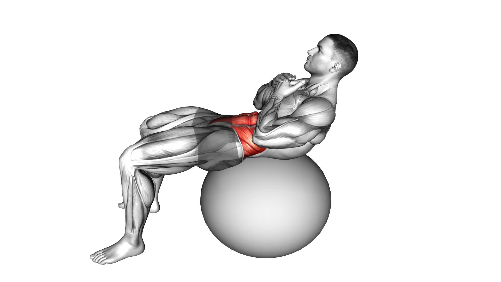 Crunch (On Stability Ball) - Video Exercise Guide & Tips