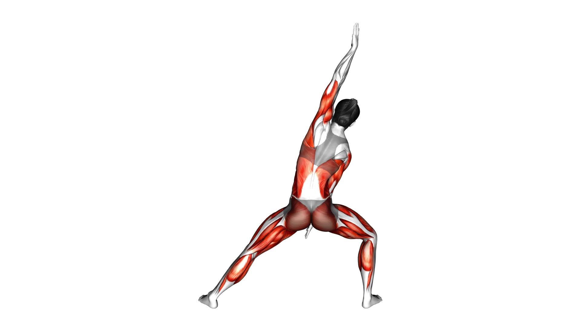 Dancer Bend (female) - Video Exercise Guide & Tips