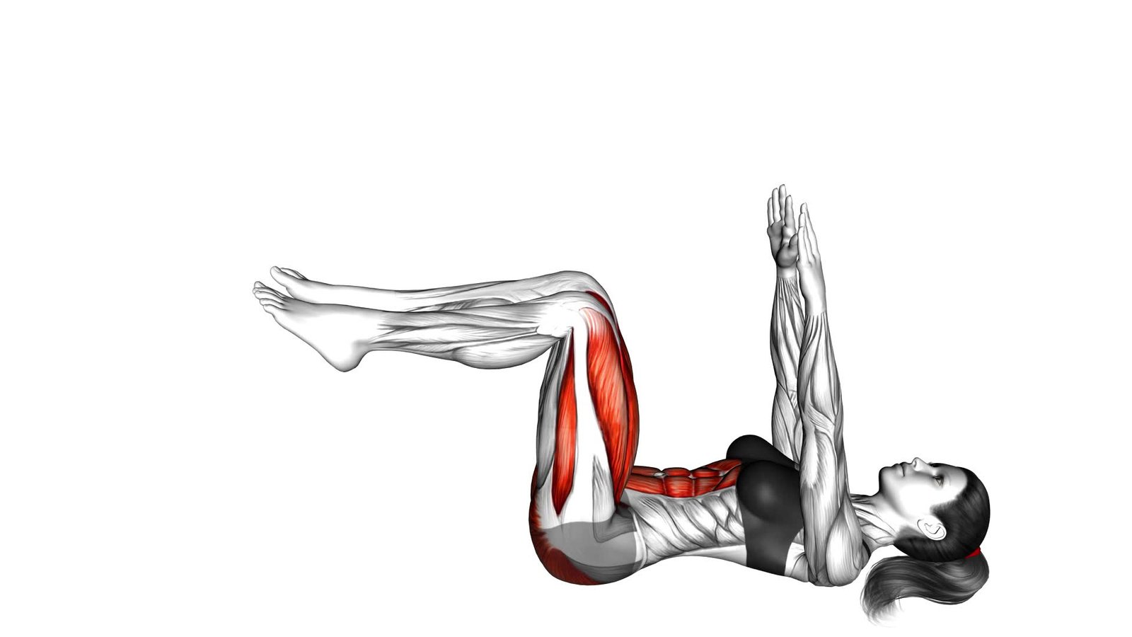 Dead Bug Exercise Video Guide Tips For A Strong Core