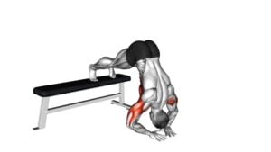 Decline Diamond Pike Push-up - Video Exercise Guide & Tips