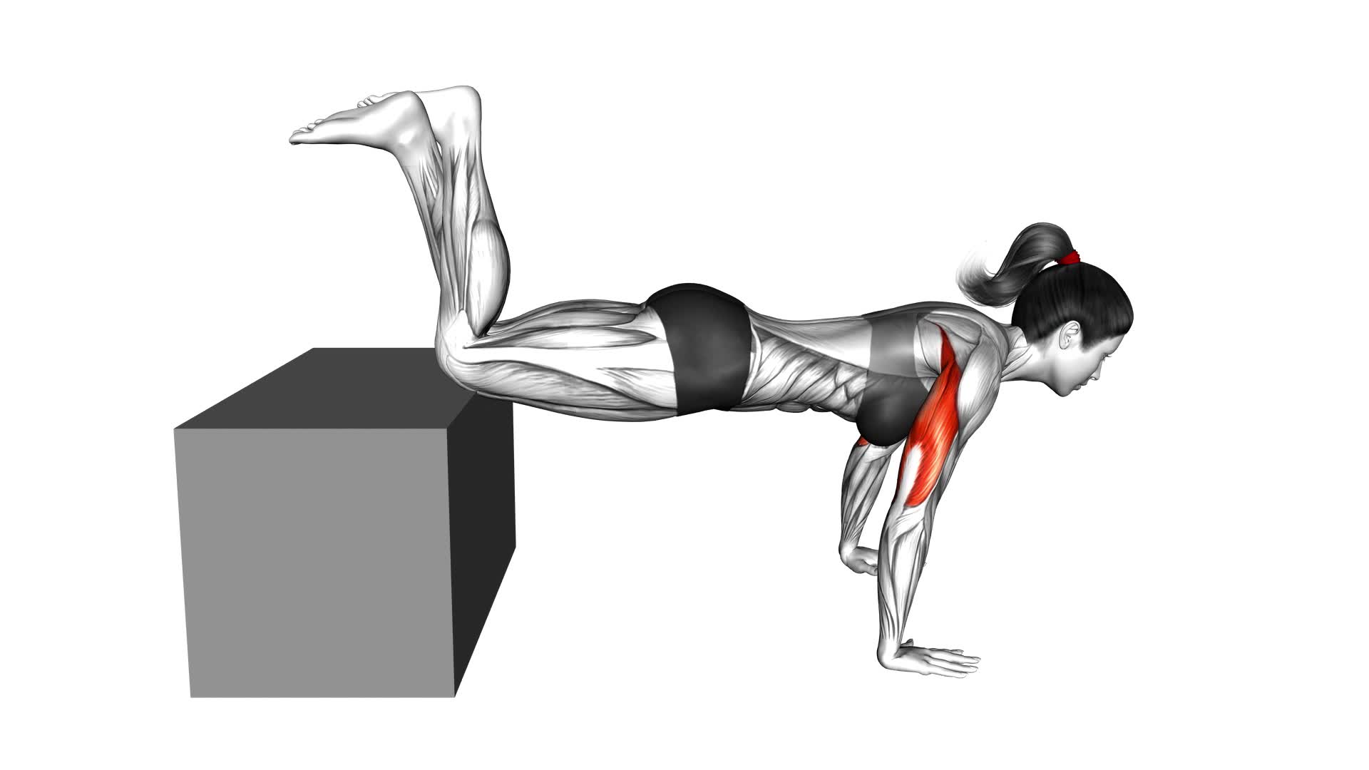 Decline Kneeling Push-up on Box (female) - Video Exercise Guide & Tips