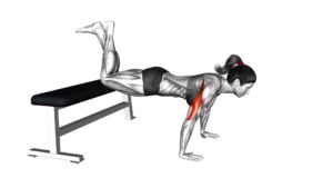 Decline Push-up (Kneeling) (female) - Video Exercise Guide & Tips