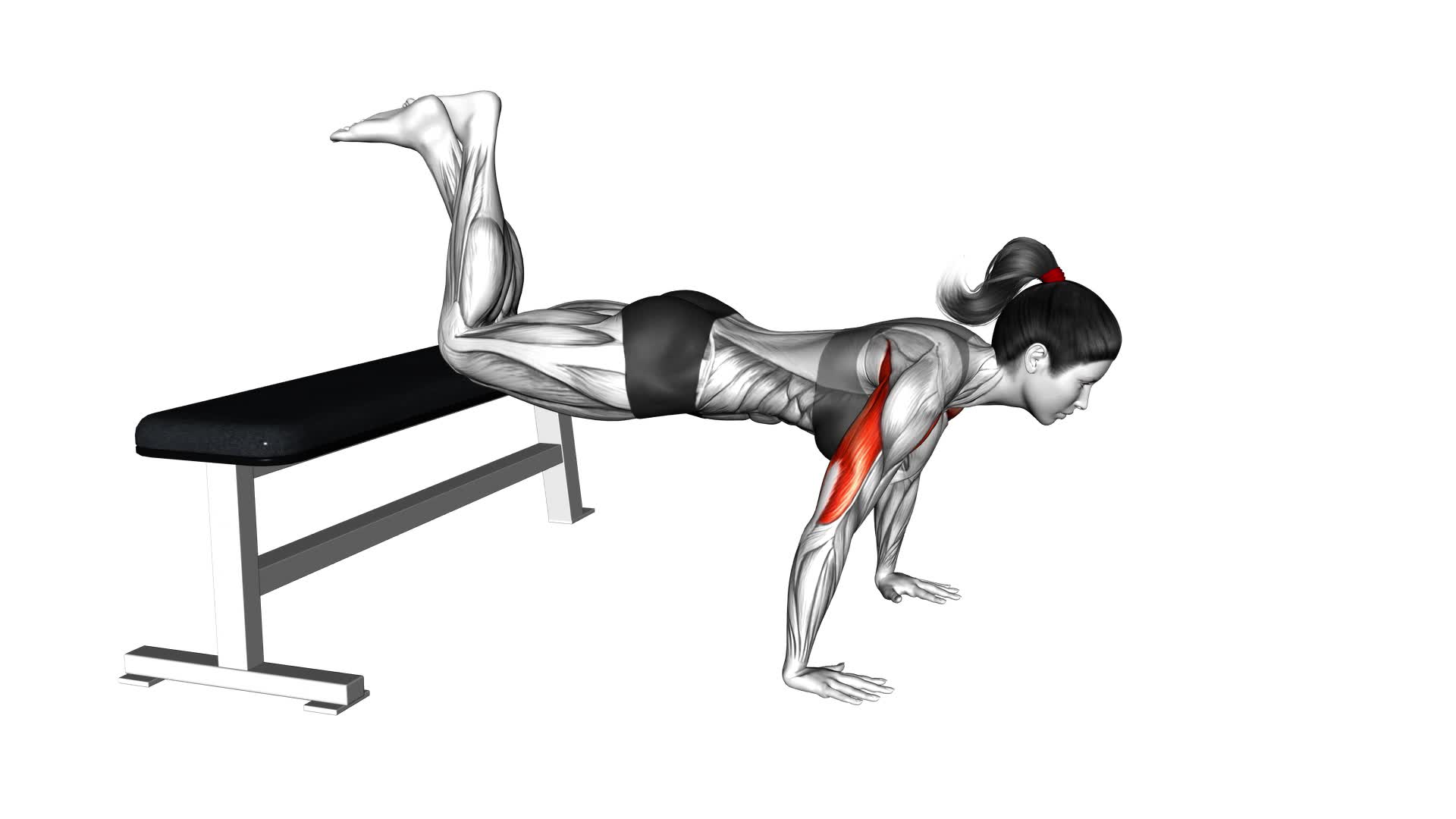 Decline Push-up (Kneeling) (female) - Video Exercise Guide & Tips