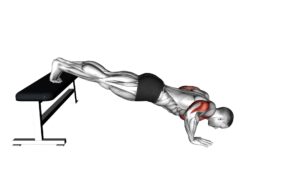 Decline Push-Up - Video Exercise Guide & Tips