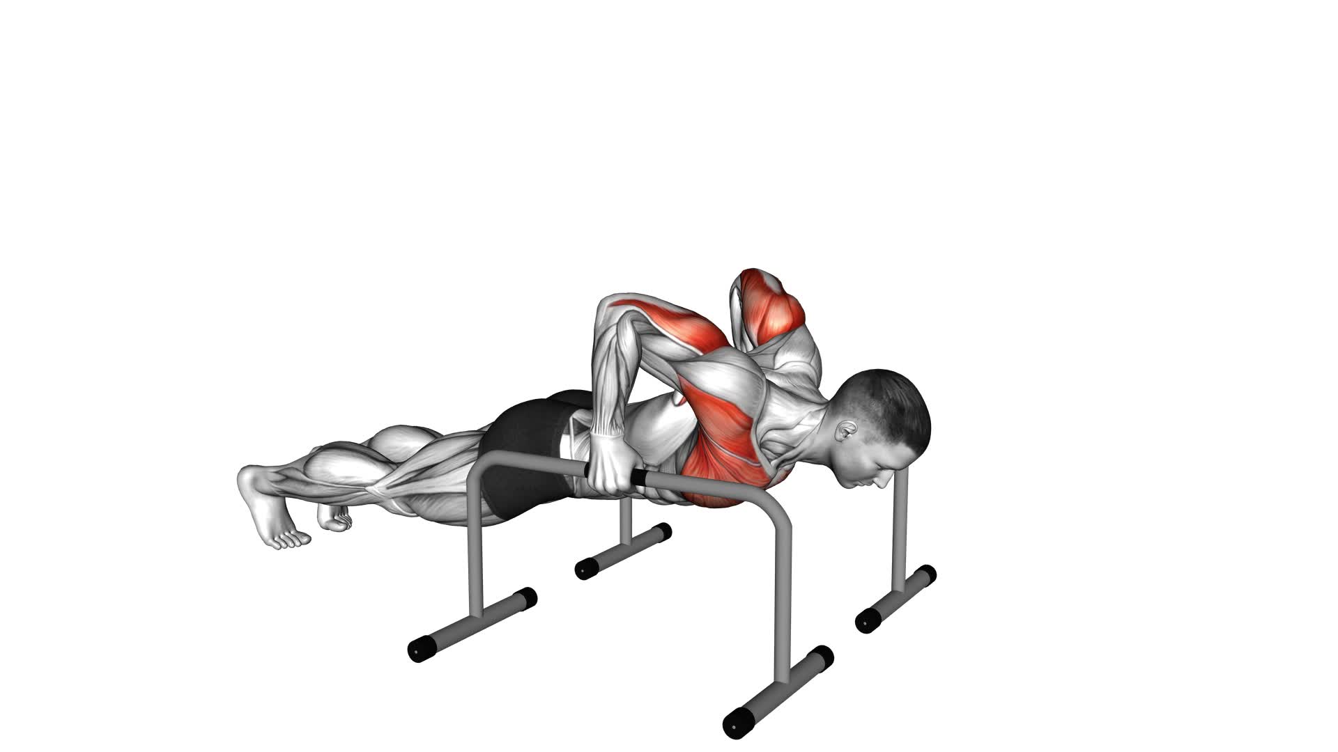 Deep Push-up on Parallel Bars (male) - Video Exercise Guide & Tips