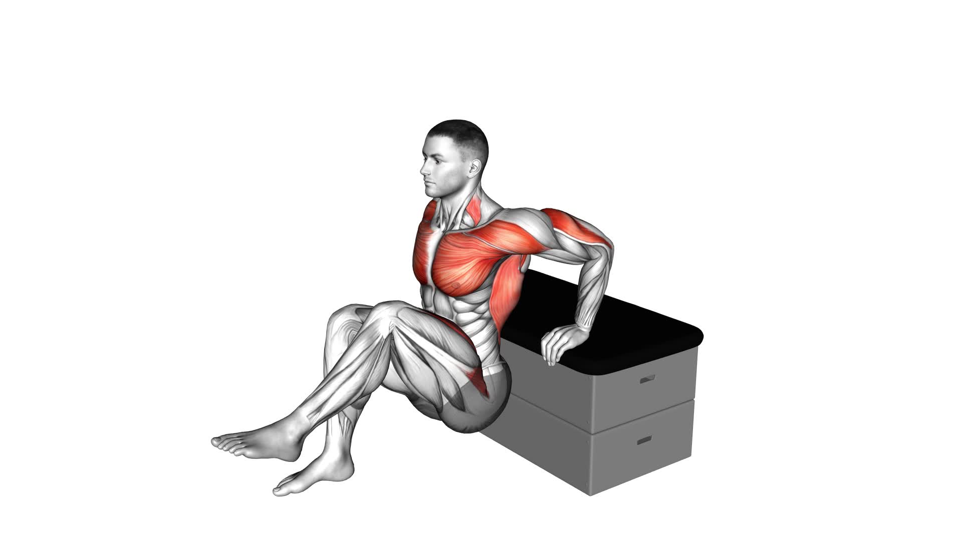 Dip Leg Raise a Padded Stool Supported - Video Exercise Guide & Tips