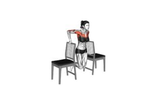 Dips Between Chairs (Female) - Video Exercise Guide & Tips