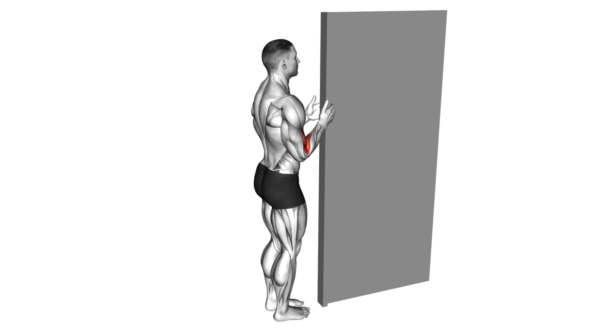 Doorway Biceps Curl - Video Exercise Guide & Tips