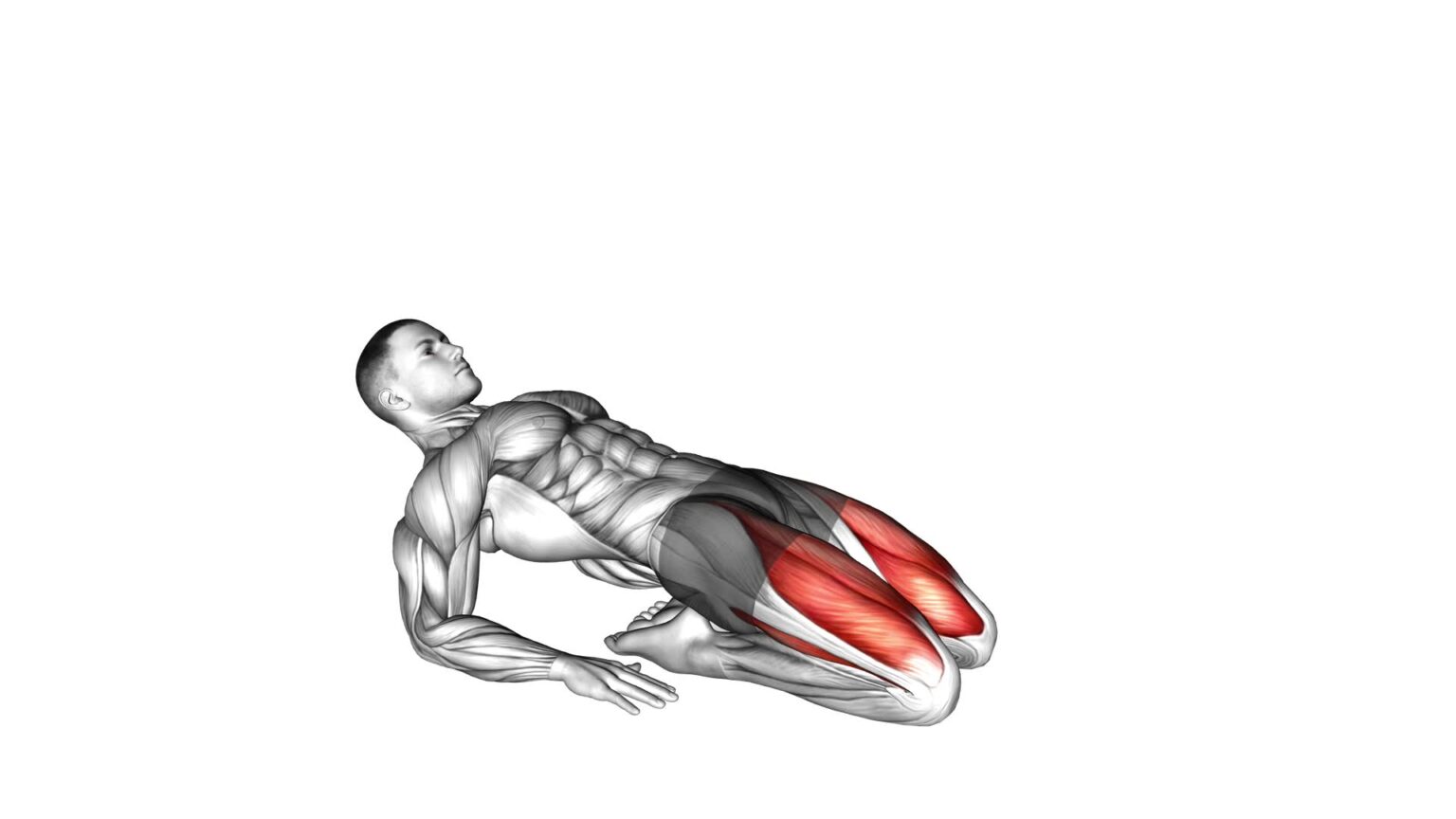 Double Lean Back Quadriceps Stretch - Video Guide & Tips