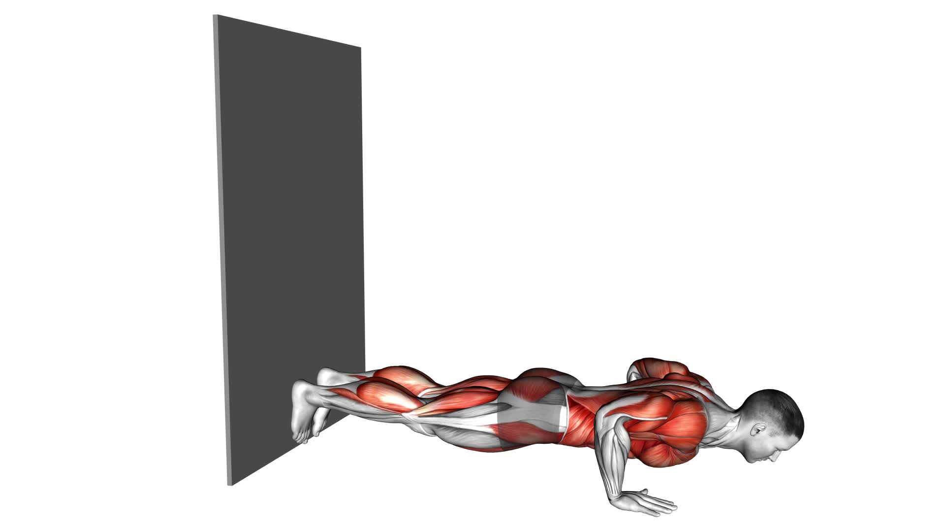 Downward Dog Push-Up Against Wall (Male) - Video Exercise Guide & Tips