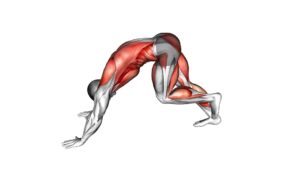 Downward Dog Sprint (Male) - Video Exercise Guide & Tips