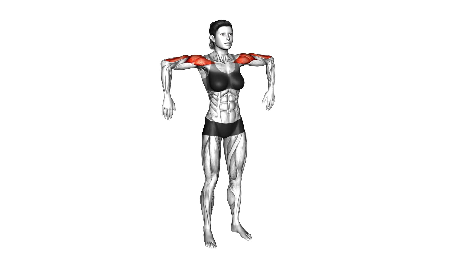 Downward Punch (Female) - Video Exercise Guide & Tips: Boost Your ...