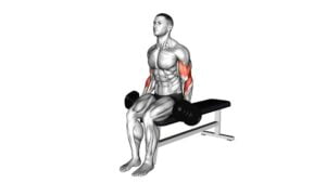 Dumbbell Alternate Biceps Curl - Video Exercise Guide & Tips