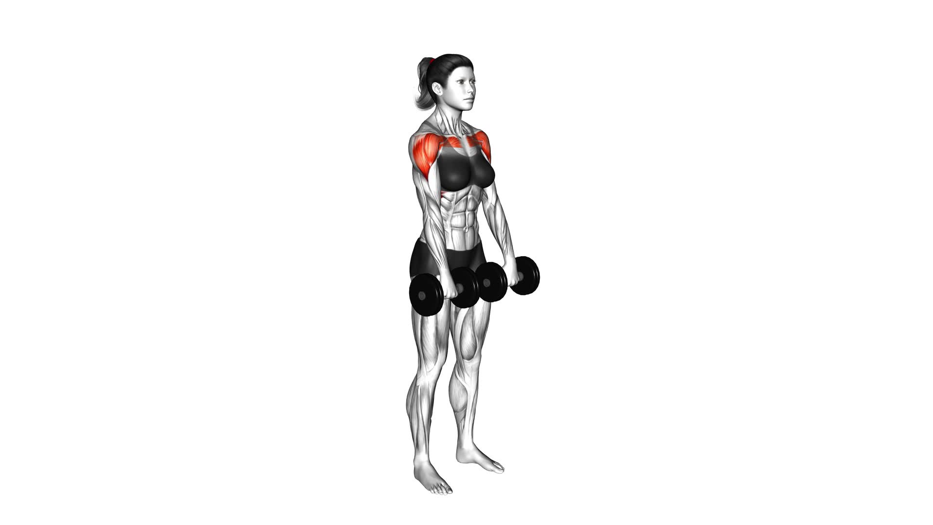 Dumbbell Alternate Front Raise (female) - Video Exercise Guide & Tips