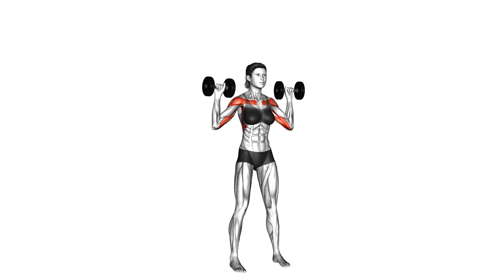 Dumbbell Alternate Shoulder Press (female) - Video Exercise Guide & Tips