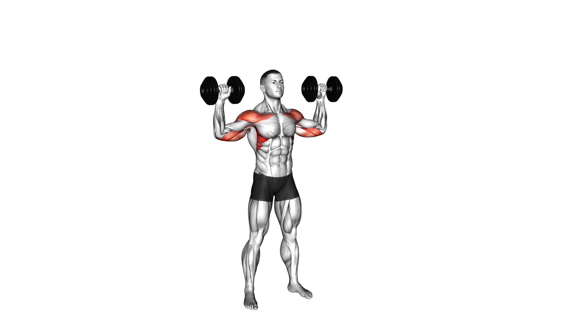 Dumbbell Alternate Shoulder Press (male) - Video Exercise Guide & Tips