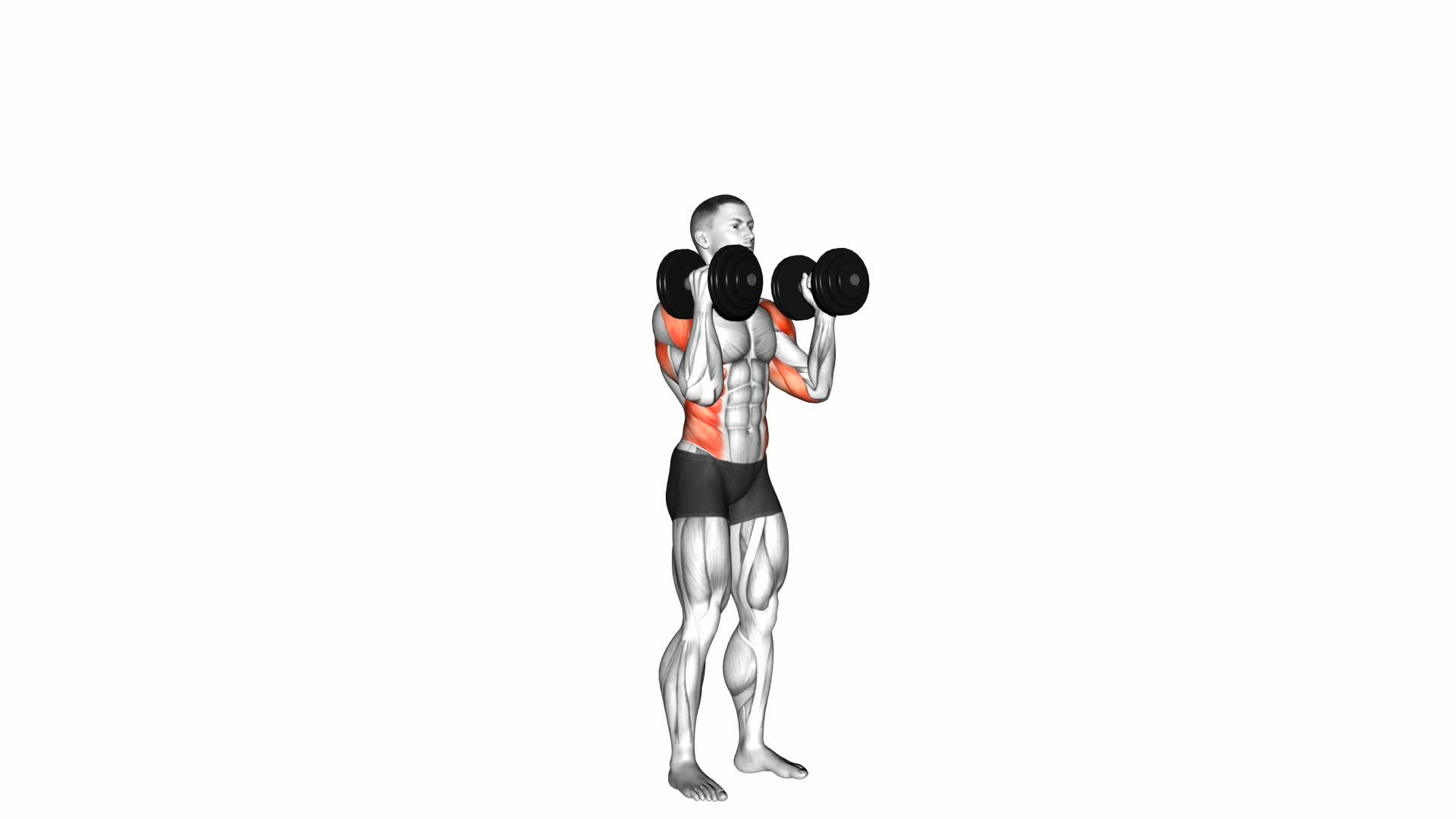 Dumbbell Alternate Side Press - Video Exercise Guide & Tips