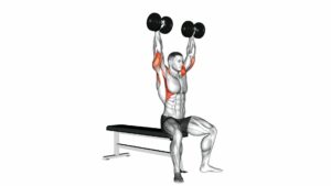 Dumbbell Arnold Press (version 2) - Video Exercise Guide & Tips