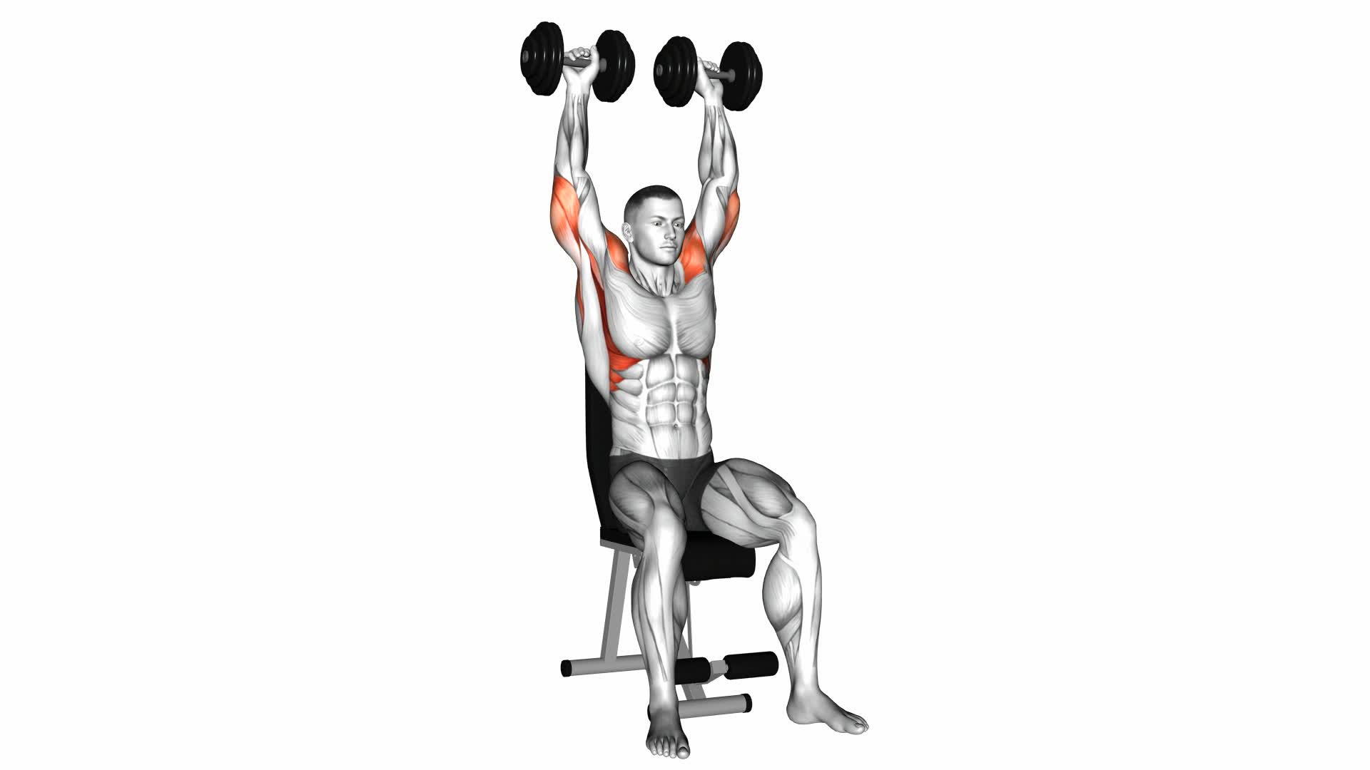 Dumbbell Arnold Press - Video Exercise Guide & Tips