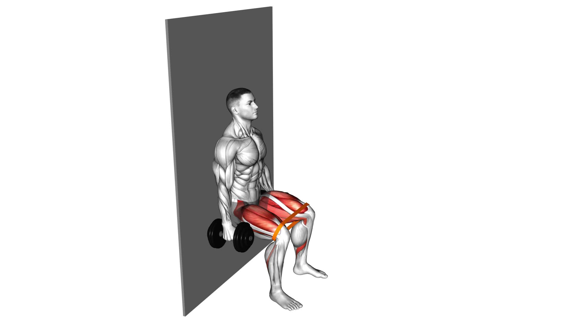 Dumbbell Banded Wall Sit (male) - Video Exercise Guide & Tips