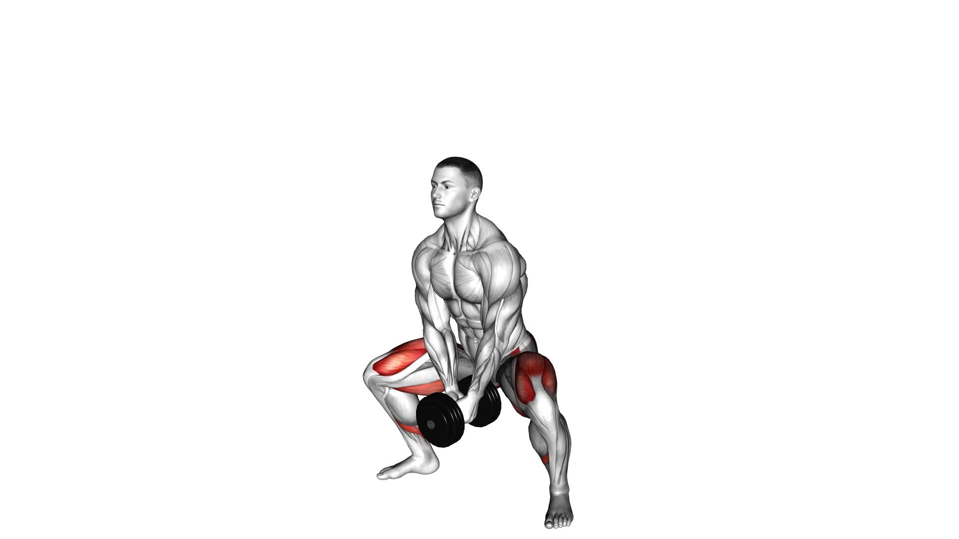 Dumbbell Bar Grip Sumo Squat (male) - Video Exercise Guide & Tips