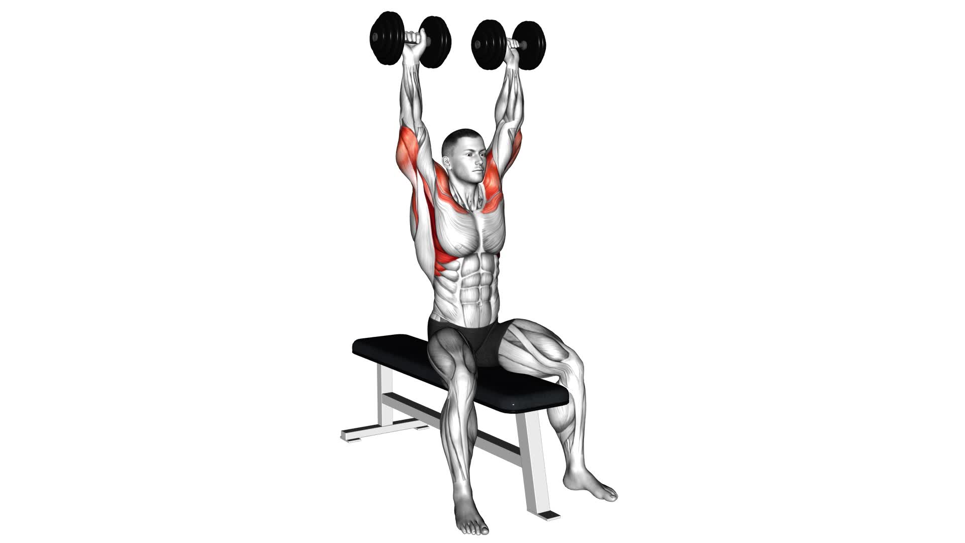 Dumbbell Bench Seated Press - Video Exercise Guide & Tips