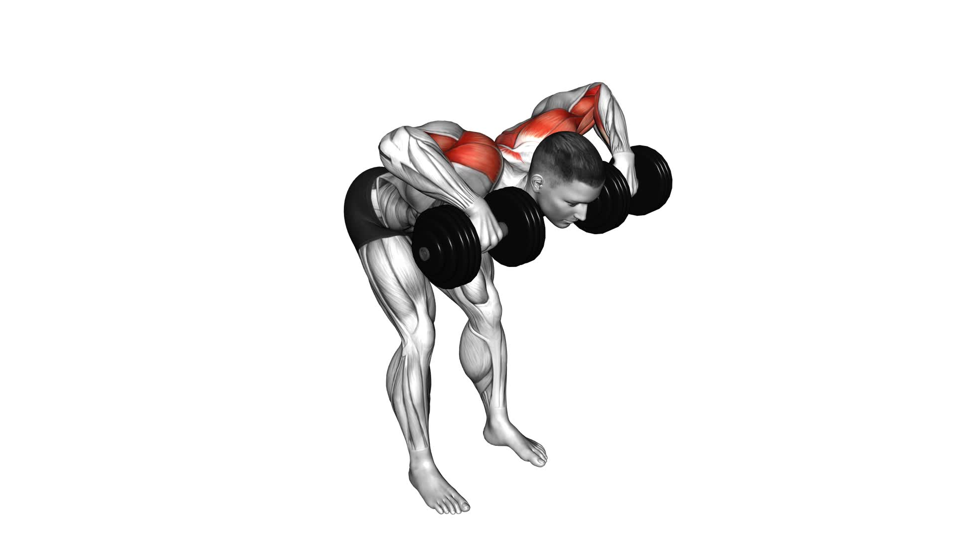 Dumbbell Bent Over Face Pull - Video Exercise Guide & Tips
