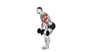 Dumbbell Bent Over Reverse Fly to Hammer Curl (male) - Video Exercise Guide & Tips
