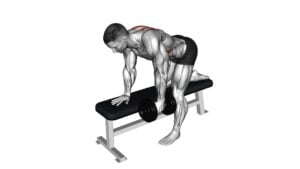 Dumbbell Bent Over Scapula Row (male) - Video Exercise Guide & Tips