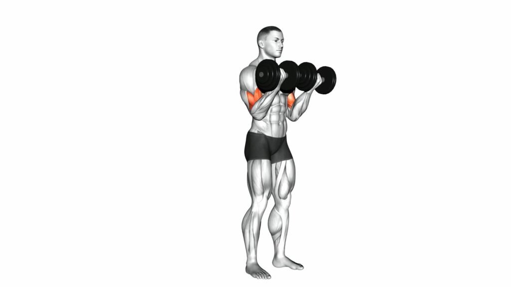 Dumbbell Biceps Curl Ultimate Guide Tips Video Demo Dumbbell Biceps Curl Ultimate Guide Tips Video Demo