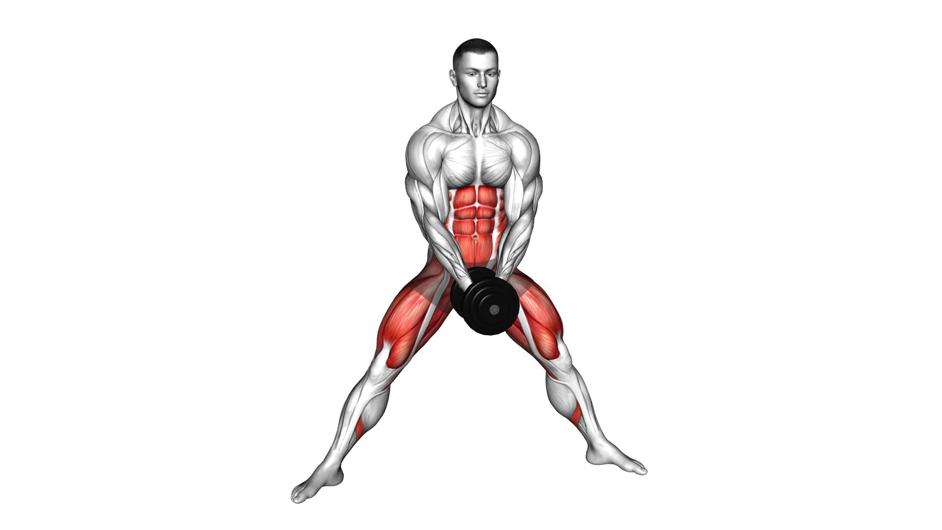 Dumbbell Change Plyo Side Lunge (male) - Video Exercise Guide & Tips