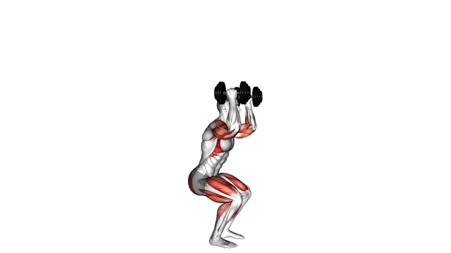 Dumbbell Clean And Press: Ultimate Exercise Guide & Tips
