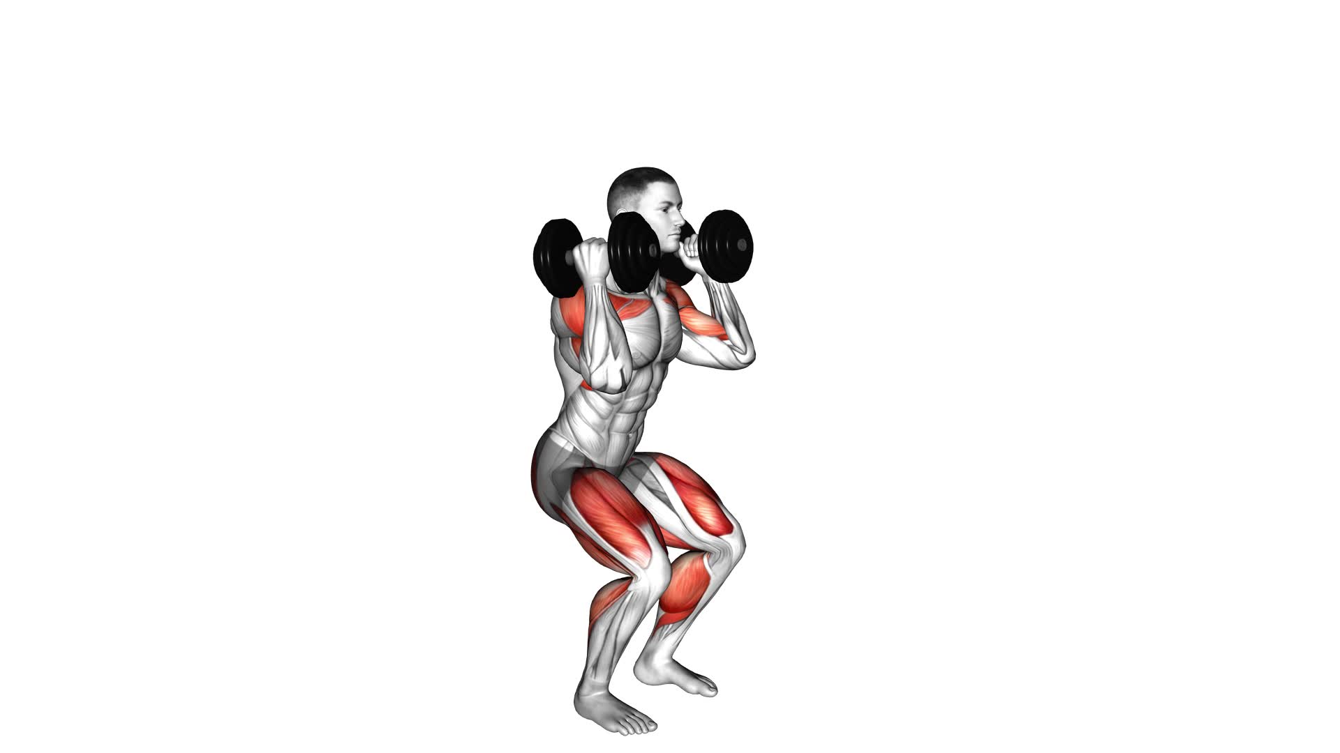 Dumbbell Clean - Video Exercise Guide & Tips