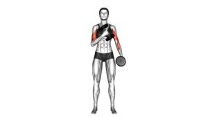 Dumbbell Cross Body Hammer Curl (Version 2) (female) - Video Exercise Guide & Tips
