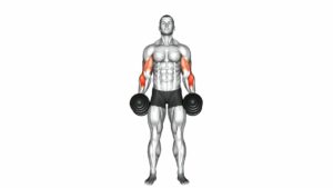 Dumbbell Cross Body Hammer Curl - Video Exercise Guide & Tips