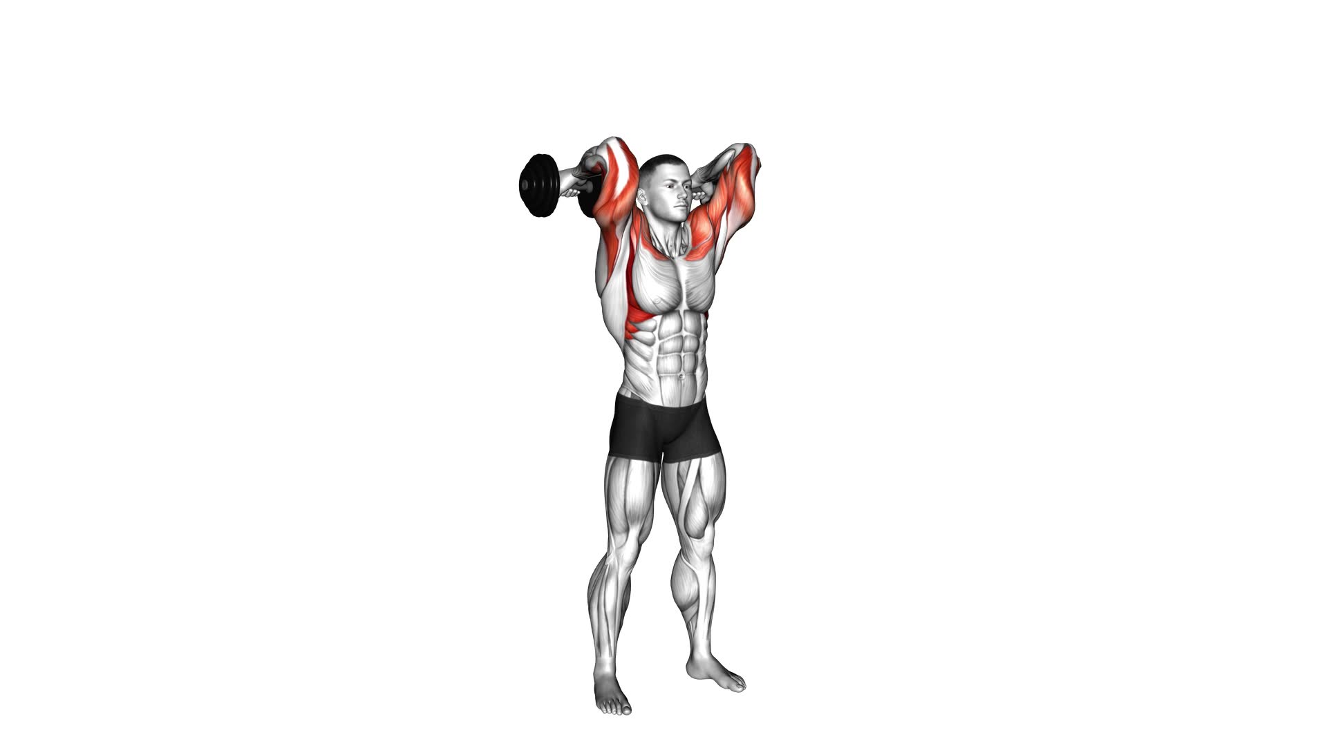 Dumbbell Curl Press Extension (male) - Video Exercise Guide & Tips