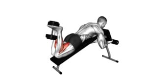 Dumbbell Decline Lying Leg Curl - Video Exercise Guide & Tips