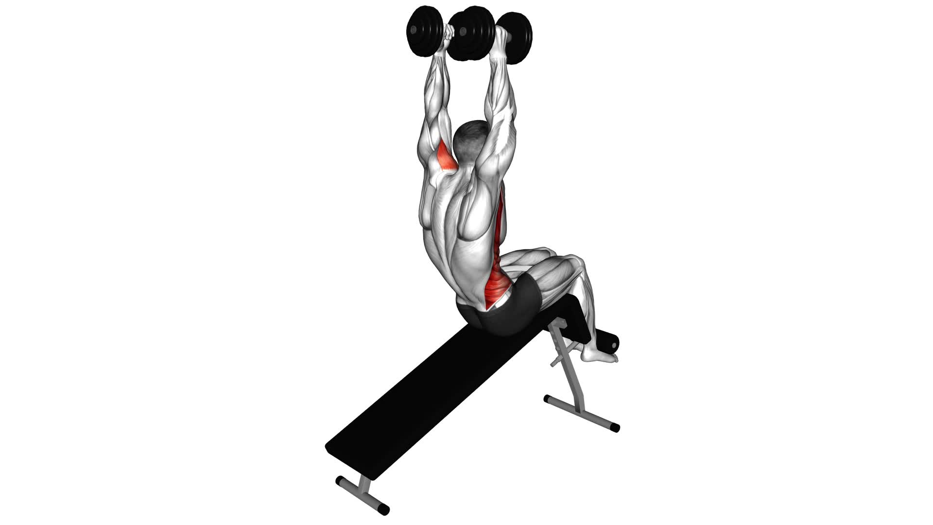 Dumbbell Decline Overhead Sit-up - Video Exercise Guide & Tips
