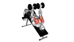 Dumbbell Decline Twist Fly - Video Exercise Guide & Tips