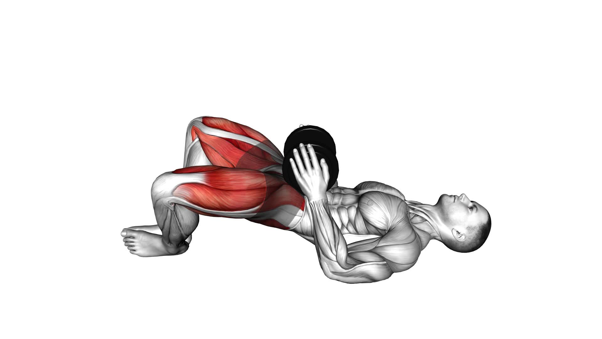 Dumbbell Frog Hip Thrust (male) - Video Exercise Guide & Tips