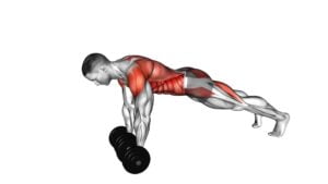 Dumbbell Front Plank Arm Leg Raise - Video Exercise Guide & Tips