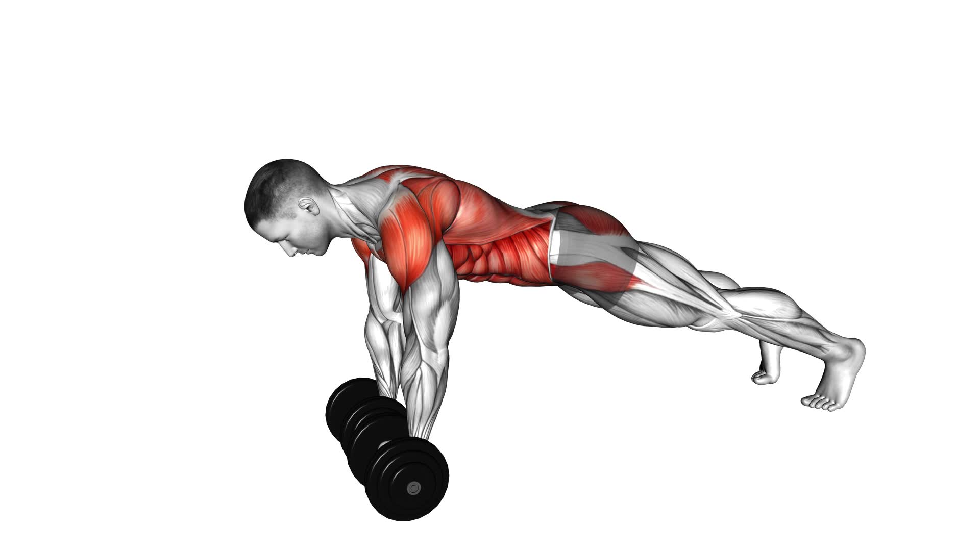 Dumbbell Front Plank Arm Raise - Video Exercise Guide & Tips