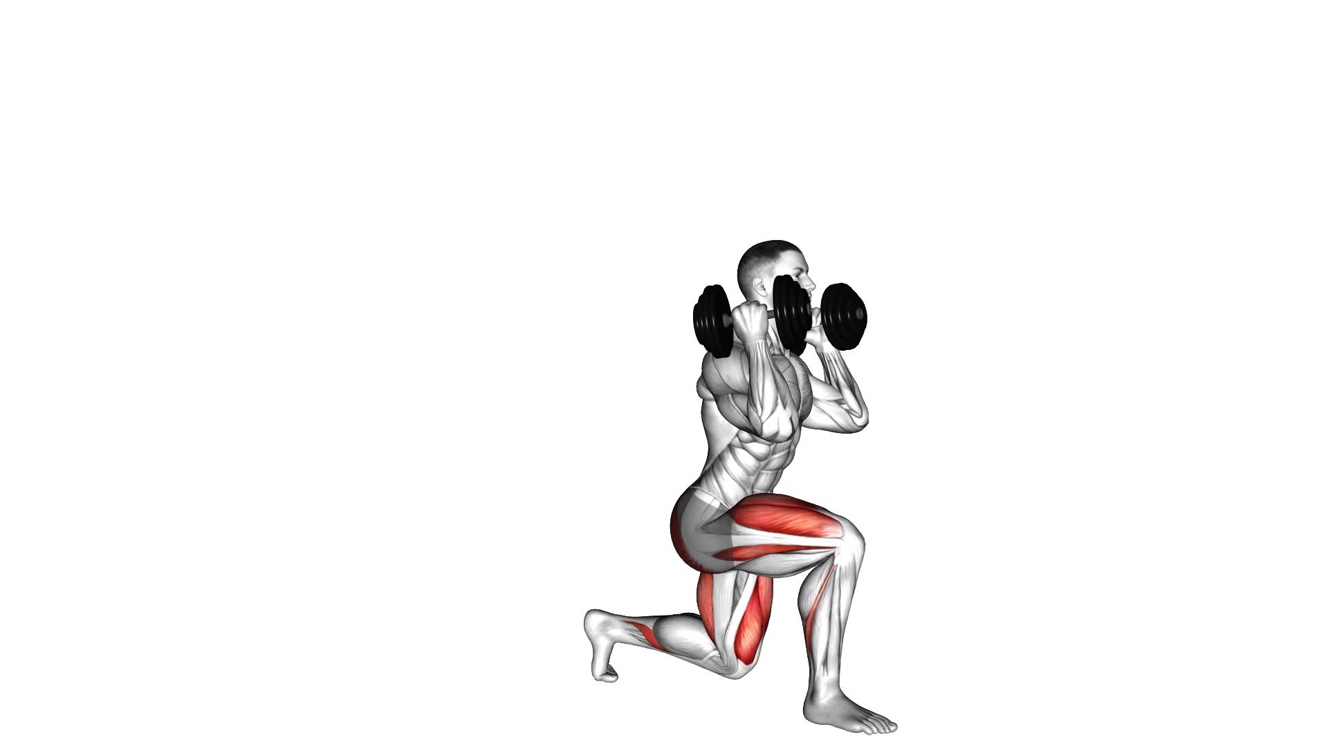 Dumbbell Front Rack Lunge - Video Exercise Guide & Tips